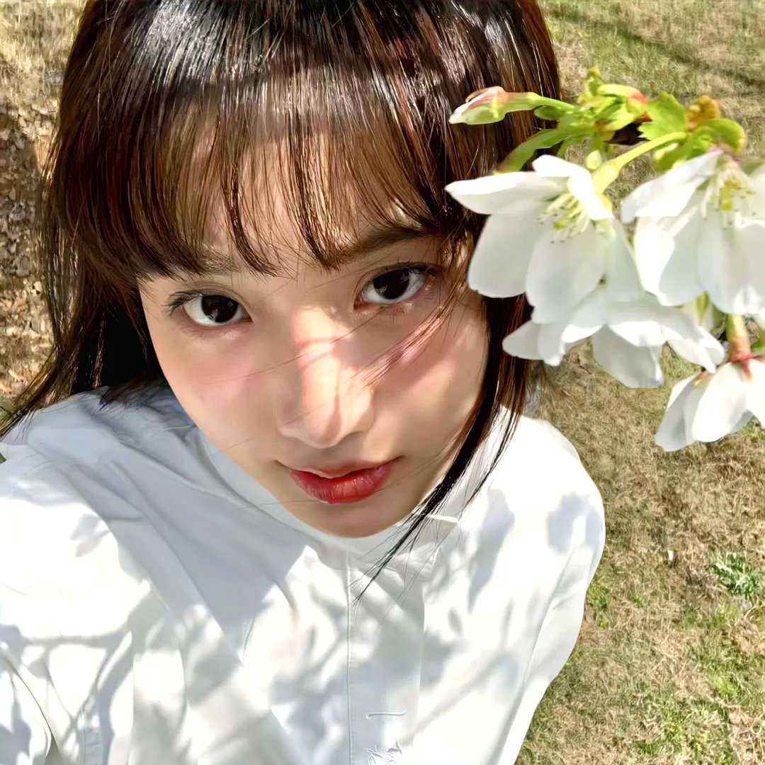 美国派3:美国婚礼